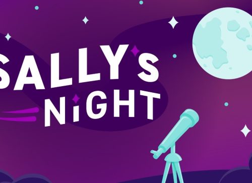 Sally's Night