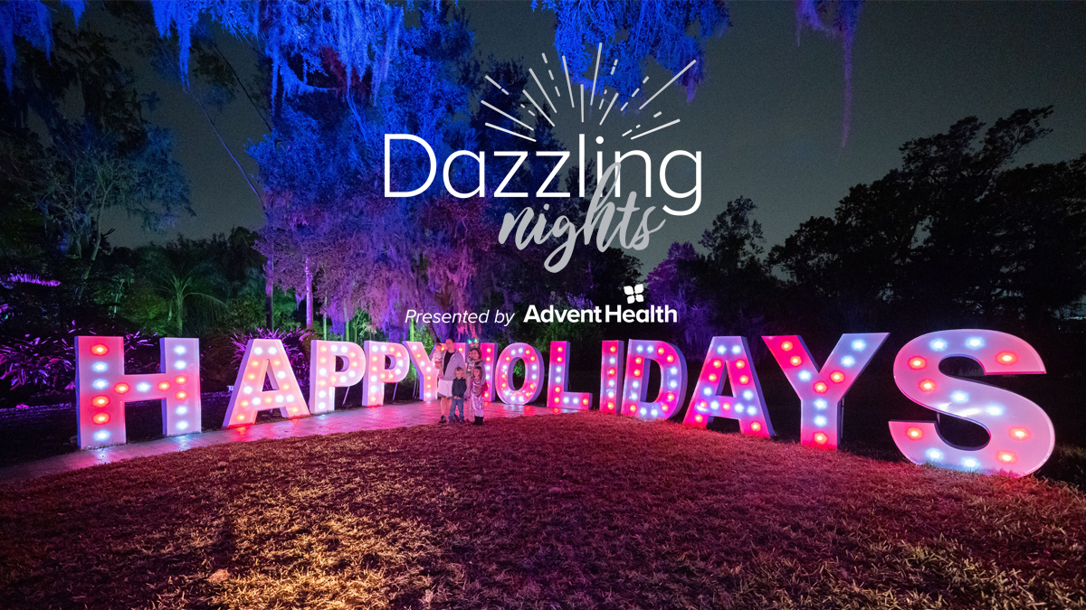 Dazzling Nights at Leu Gardens 2023 The Orlando Guy