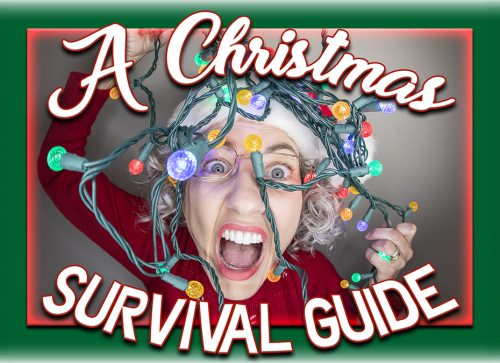 A Christmas Survival Guide
